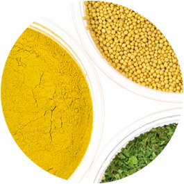 AGROPOLE assaisonnements à base de légumes et d'herbes séchés, d'oignons cuits au four et de viande hachée Pologne ferme